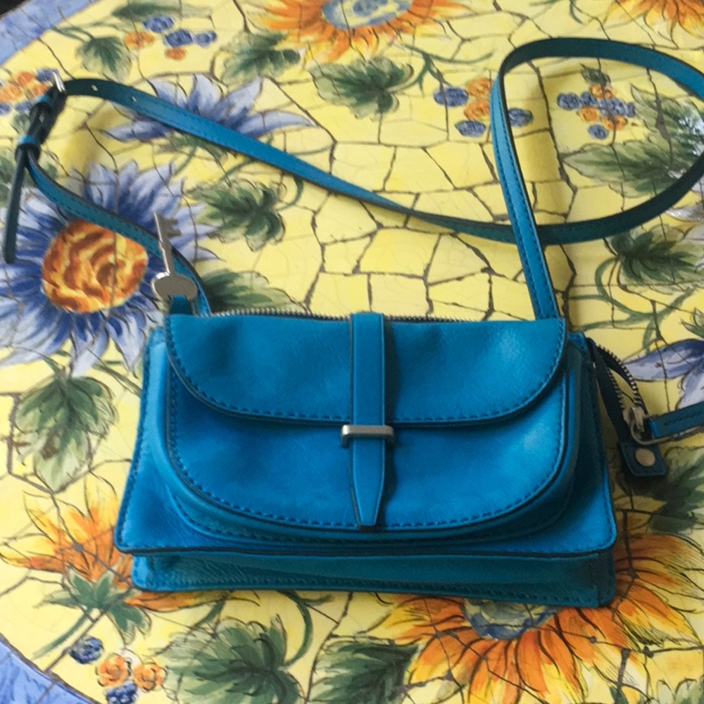 Fossil Crossbody Bag